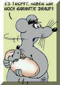 garantie.JPG (15694 Byte)